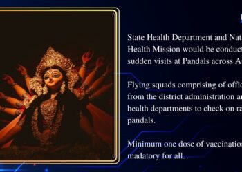 Flying squads at the Durga Puja pandals : NHM