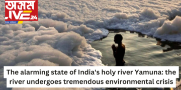 India’s holy river Yamuna now in an alarming state: the river undergoes tremendous environmental crisis
