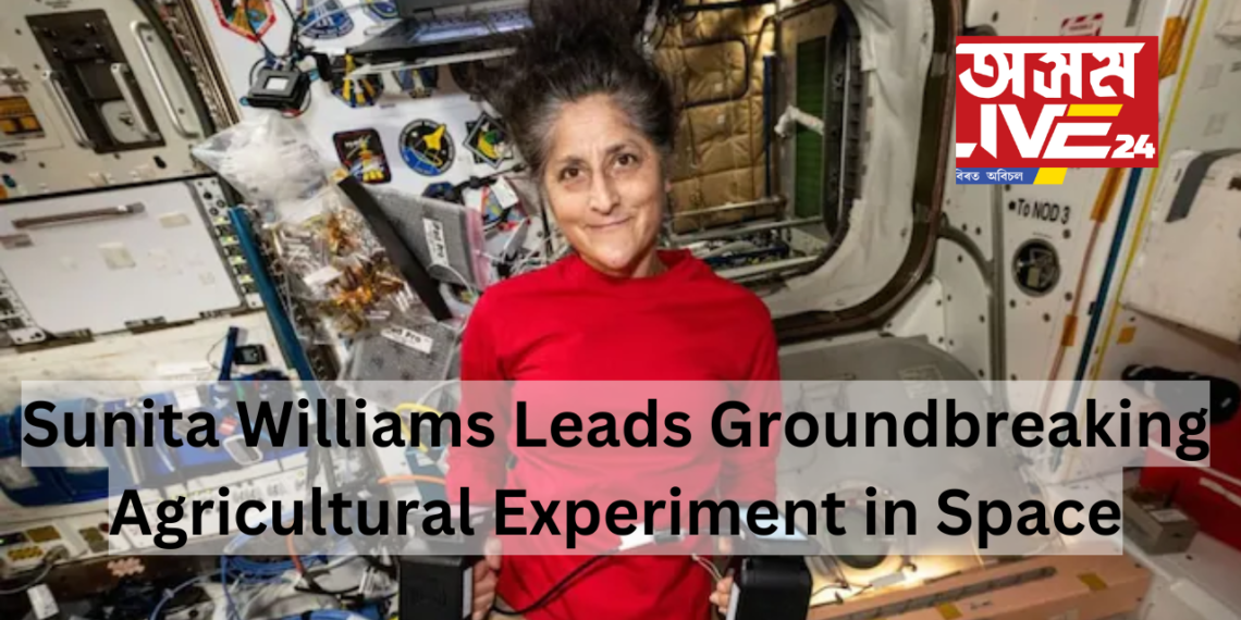 Sunita Williams Leads Groundbreaking Agricultural Experiment in Space