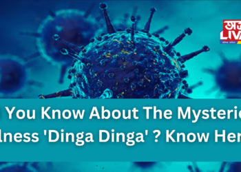 Did You Know About The Mysterious Illness ‘Dinga Dinga’ ? Know Here