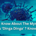 Did You Know About The Mysterious Illness ‘Dinga Dinga’ ? Know Here