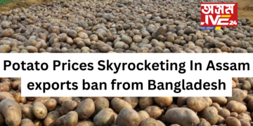 Potato Prices Skyrocketing In Assam with exports ban from Bangladesh