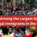 Indians Among the Largest Groups of Illegal Immigrants in the U.S.